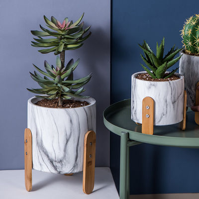 Vasi dei succulenti delle piantatrici del vaso del cemento dei vasi della pianta dei vasi da fiori di argilla di forma dell'ananas mini