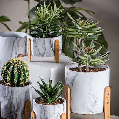 Piantatrici da tavolo del cactus delle piantatrici delle piantatrici di Mini Succulents Plant Pots Round dei vasi da fiori del cemento