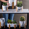 I vasi di Clay Flower Pots Cement Plant delle piantatrici di Mini Succulents Pot Planters Tabletop marmorizzano le piantatrici
