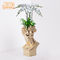 Tempo 35x35x57.4cm resistenti Clay Flower Pots For Balcony