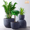 Vasi stagionati Gray Flower Pots Fiberglass Planters della pianta di Clay Flower Pots Resin Outdoor dei vasi del giardino