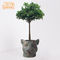 Ufficio 44.5x42x37.5cm Clay Pots For Plants decorativo